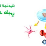 Stem Cell Therapy: A Glimpse into the Future of Healing Stem Cell Therapy: A Glimpse into the Future of Healing