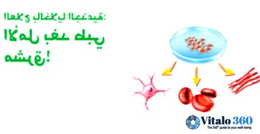 Stem Cell Therapy: A Glimpse into the Future of Healing Stem Cell Therapy: A Glimpse into the Future of Healing