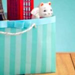 Back-to-Routine Bliss: 8 Easy Steps for a Smooth Return to Work & Study! Back-to-Routine Bliss: 8 Easy Steps for a Smooth Return to Work & Study!