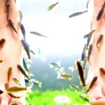 Pedicure Power: Unveiling the Secrets to Happy Feet