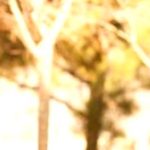 Exercise: Your Mood-Boosting, Depression-Fighting Superpower!