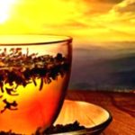 Tea’s Antioxidant Power: What Makes It Special?