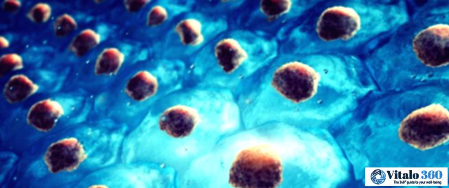 Unlocking the Power Within: How Stem Cells are Revolutionizing Healing.