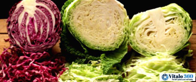 Cabbage: Your Unsung Hero Against Cancer and for Weight Loss?