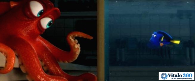 Finding Dory: Disney’s Subtle Message About Special Needs