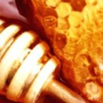 Honey on an Empty Stomach: The Daily Habit Your Body Will Thank You For Honey on an Empty Stomach: The Daily Habit Your Body Will Thank You For