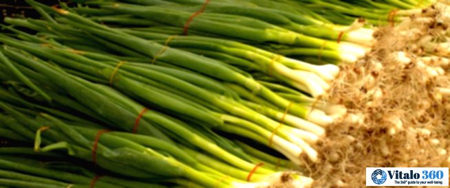 Green Onions: Your Secret Weapon for Immunity and More! Green Onions: Your Secret Weapon for Immunity and More!