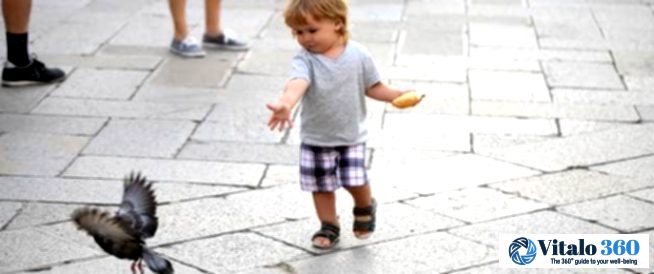 Pigeon Problems: Are Your Feathered Friends Making You Sick?