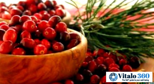 Cranberries and a Happy Bladder: What’s the Connection?