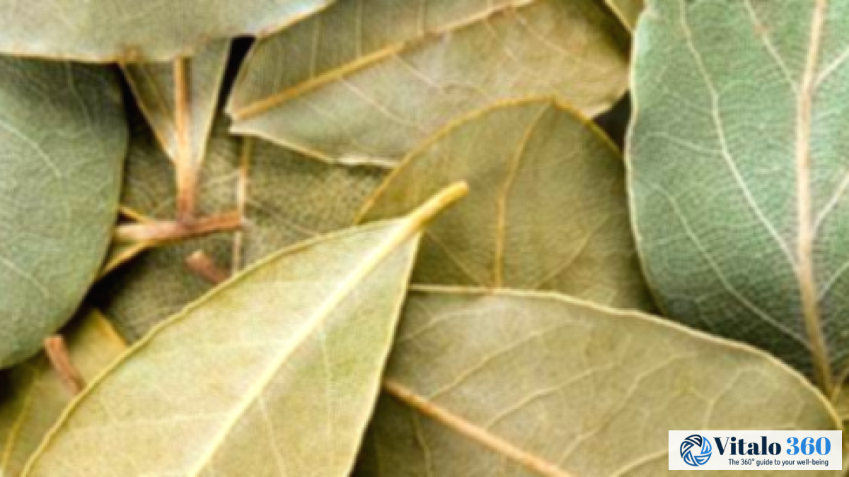 Bay Leaves: Surprising Health Benefits You Should Know