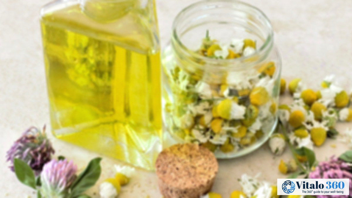 Chamomile Oil: Health and Beauty Benefits Explored Chamomile Oil: Health and Beauty Benefits Explored