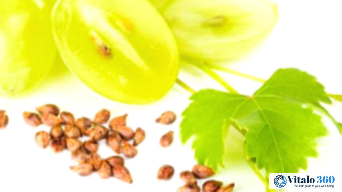 Grape Seed Benefits: A Guide to Better Health Grape Seed Benefits: A Guide to Better Health