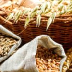 Whole Grains: Healthy Choices For a Balanced Diet Whole Grains: Healthy Choices For a Balanced Diet