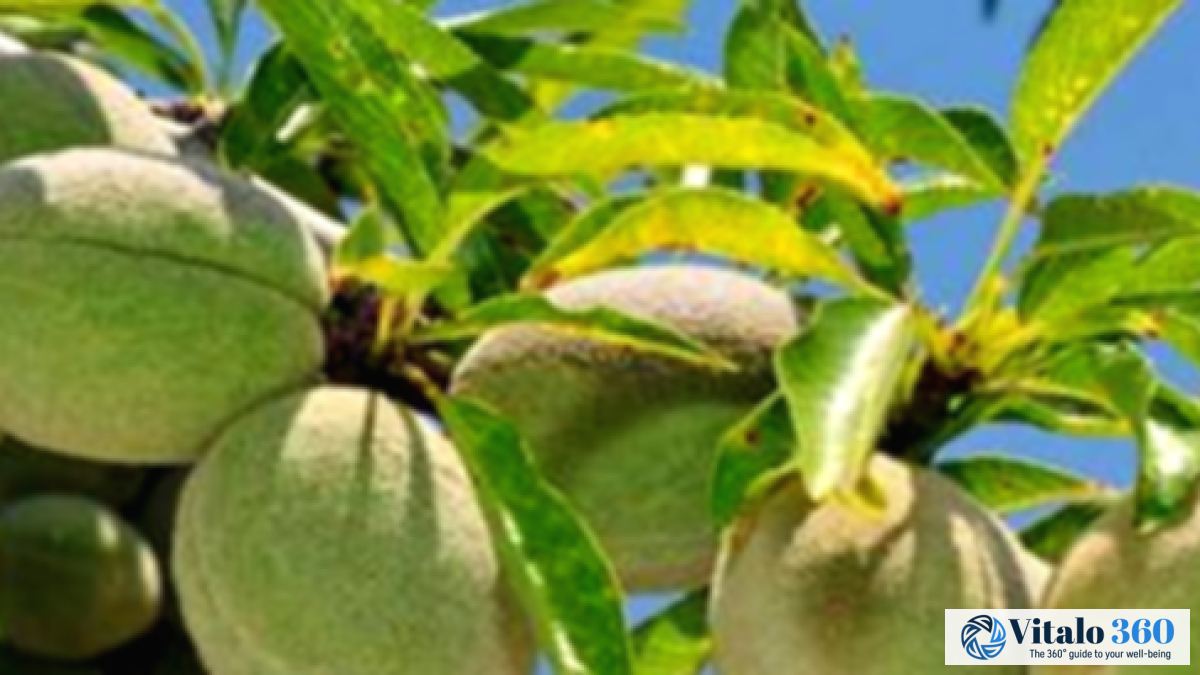 Green Almond Benefits: What You Need to Know