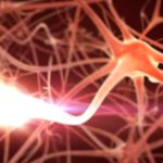 Nerve Damage: Essential Info You Need to Know Now