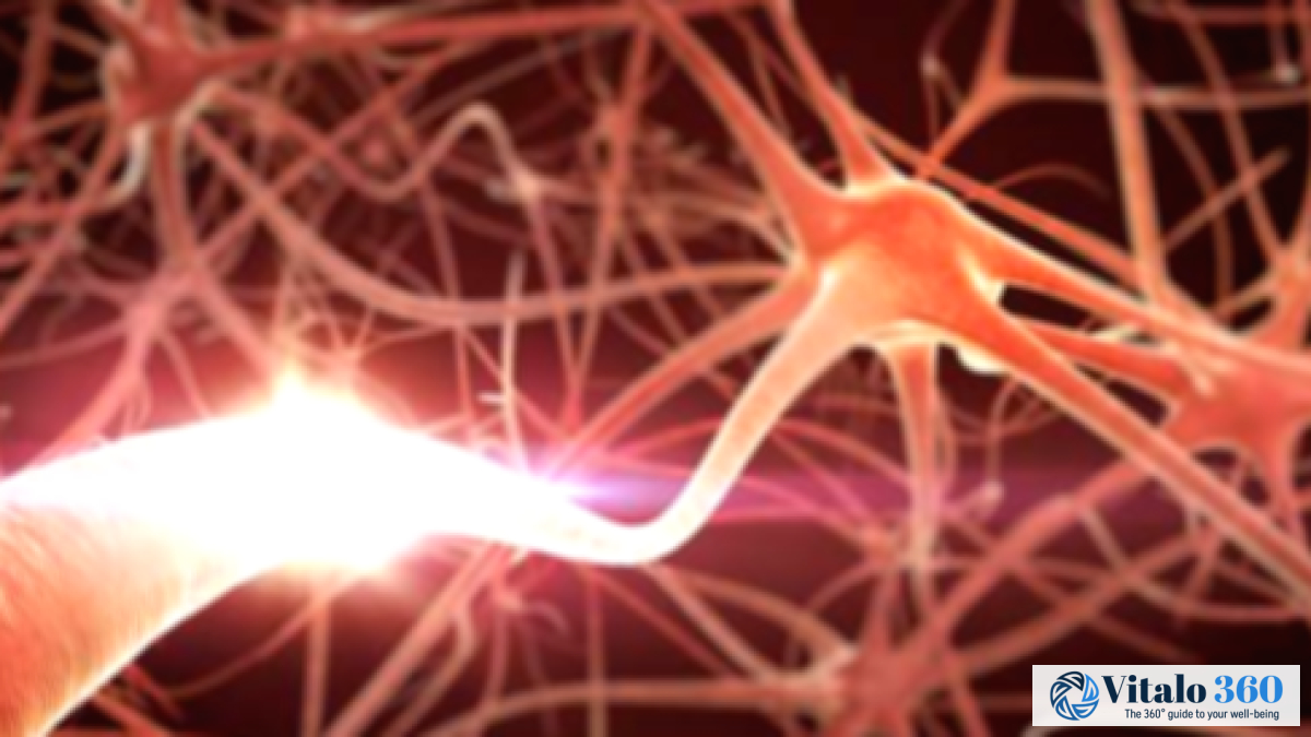 Nerve Damage: Essential Info You Need to Know Now