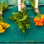 7 Top Natural Antibiotics for Better Health