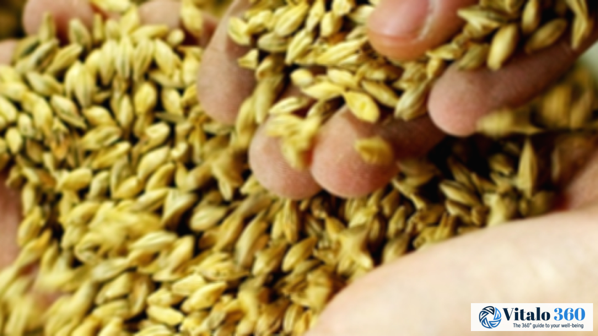 Barley Bran Benefits: A Guide to Better Health