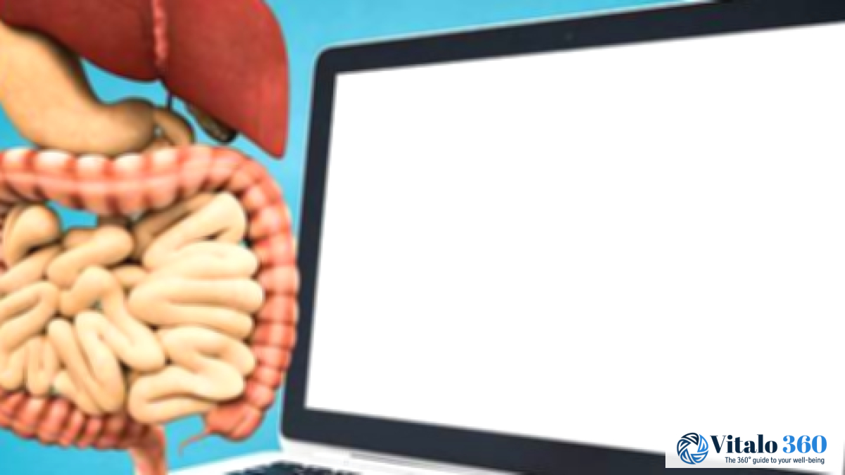 Digestive System Facts: What You Should Know