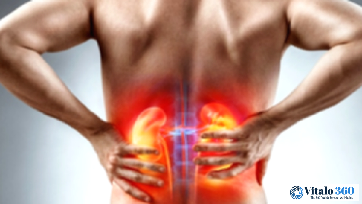 Kidney Prolapse: Causes, Symptoms, and Treatment Options