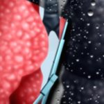 Lung Cancer’s Effects: What It Does To Your Body