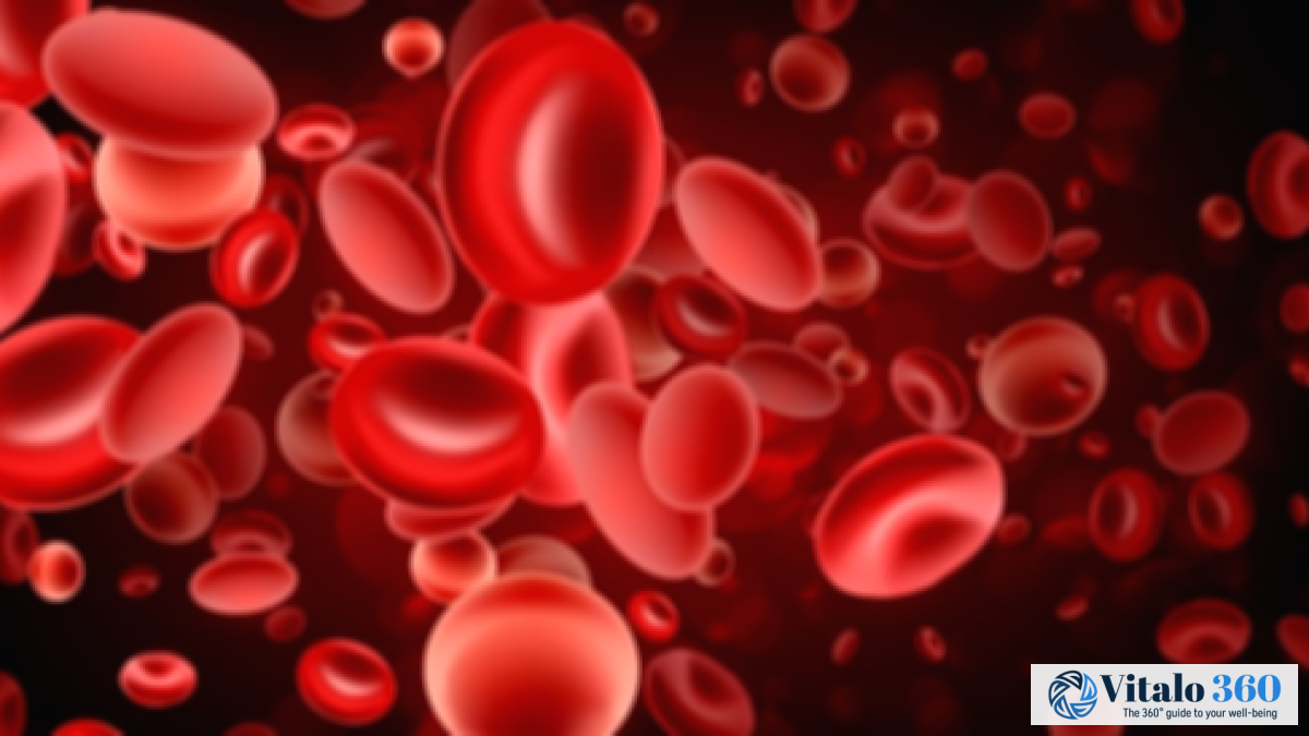 Your Complete Guide to Understanding Blood Disorders