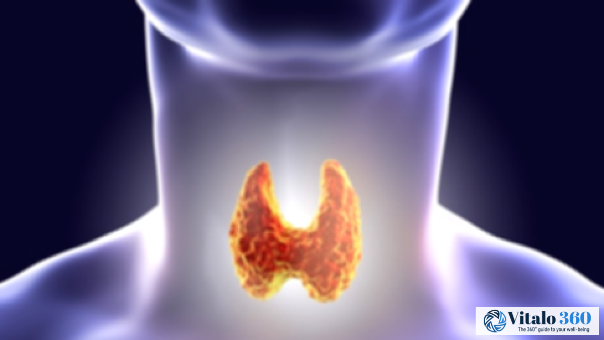 8 Foods That Support a Healthy Thyroid