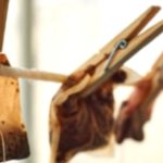 Tea Bags: Uses & Benefits You Didn’t Know