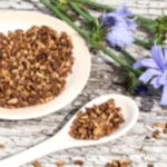 Wild Chicory: Why You Should Add It To Your Diet Now! wild chicory why you should add it to your diet now