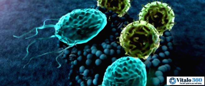 Amoeba Infections: What You Need to Know