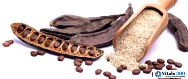 Carob Delight: Easy Steps & Amazing Benefits! Carob Delight: Easy Steps & Amazing Benefits!