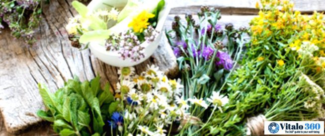 Erectile Dysfunction: Can Supplements Really Help?