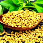 Fenugreek for Weight Gain: Separating Fact from Fiction Fenugreek for Weight Gain: Separating Fact from Fiction
