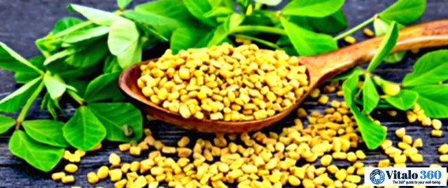 Fenugreek for Weight Gain: Separating Fact from Fiction Fenugreek for Weight Gain: Separating Fact from Fiction