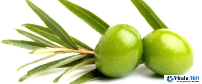 Olive Leaf Magic: Unlocking the Health Secrets