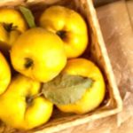 Quince: Nature's Viral Shield? Quince: Nature’s Viral Shield?