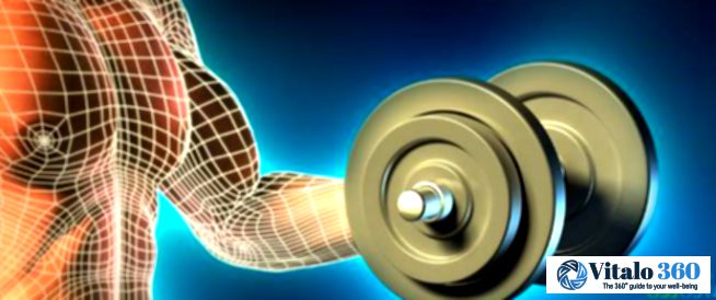 Bodybuilding: Your Essential Guide