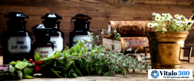 Blue Ginseng for Women: Unlocking the Secrets