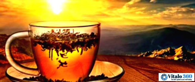 Tea's Antioxidant Power: What Makes It Special? Tea’s Antioxidant Power: What Makes It Special?