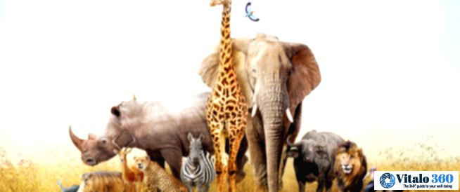 Surprisingly Deadly: The Animals That Kill the Most People Every Year