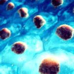 Unlocking the Power Within: How Stem Cells are Revolutionizing Healing. Unlocking the Power Within: How Stem Cells are Revolutionizing Healing.