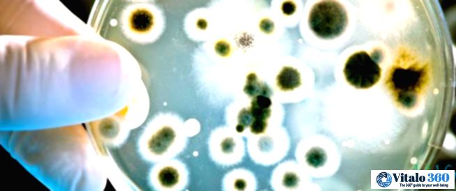 Bacteria: Tiny Life, Big Impact on You