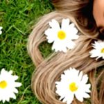 Unlock Shiny, Healthy Hair: The Power of Chamomile