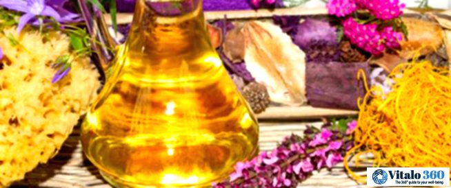 Herbal Hair Helpers: Natural Plants for a Healthy Mane
