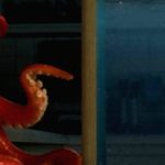 Finding Dory: Disney’s Subtle Message About Special Needs