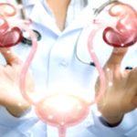 Your Urinary System & Bladder: Key Facts for Optimal Health