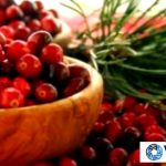 Cranberries and a Happy Bladder: What's the Connection? Cranberries and a Happy Bladder: What’s the Connection?