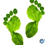Walking for Weight Loss: Your Step Towards Diabetes Prevention