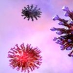 Viruses Explained: 6 Simple Questions Answered! Viruses Explained: 6 Simple Questions Answered!