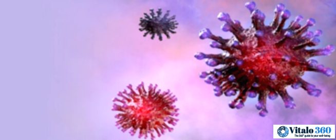 Viruses Explained: 6 Simple Questions Answered!